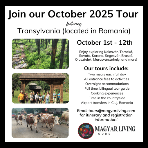 Experience Transylvania with us in October 2025!