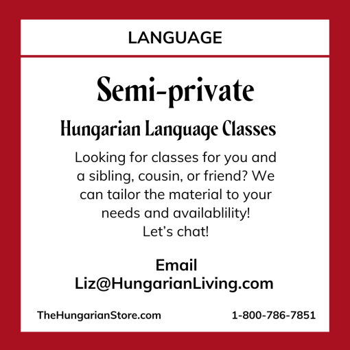 Hungarian Language Semi-Private Lessons