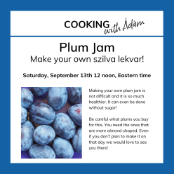 Hungarian Cooking -- Plum Jam