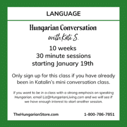 Ten Weeks of Hungarian Conversation