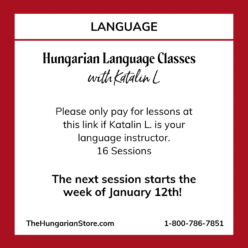 Language Lessons with Katalin