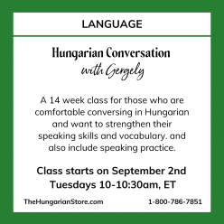 Hungarian Conversation Class with Gergely