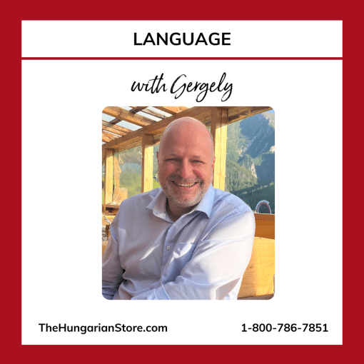 Language Lessons with Gergely - Image 2