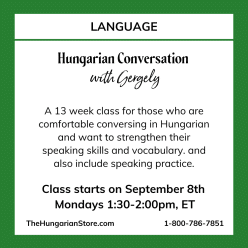Hungarian Conversation Class with Gergely
