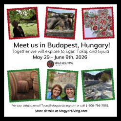 Meet us in Budapest -- Then let's explore Hungary together!