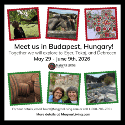 Meet us in Budapest -- Then let's explore Hungary together!